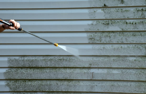 Best Roof Washing  in St Joseph, IL