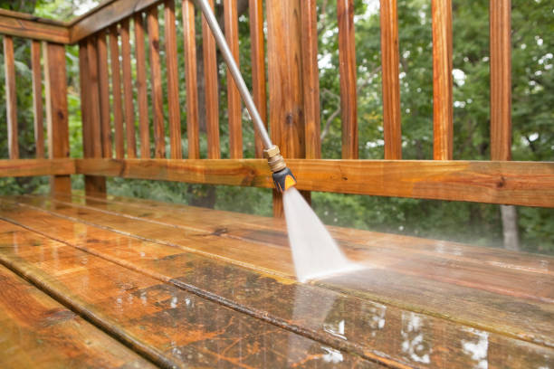 Best House Exterior Washing  in St Joseph, IL